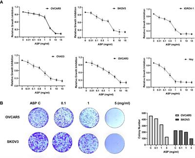 Asparagus officinalis Exhibits Anti-Tumorigenic and Anti-Metastatic Effects in Ovarian Cancer